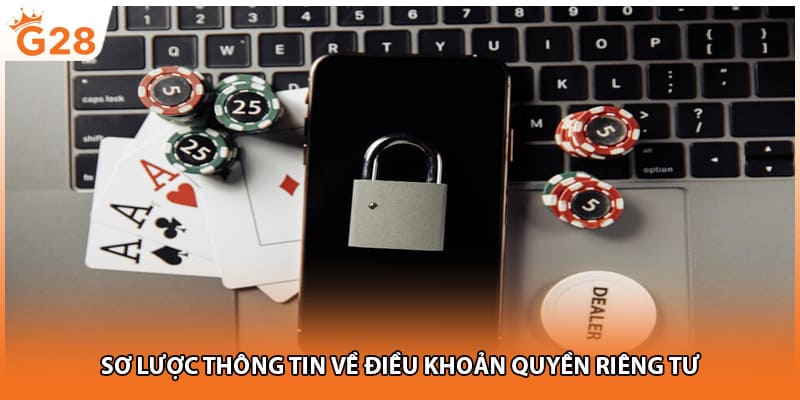 Sơ lược thông tin về điều khoản quyền riêng tư